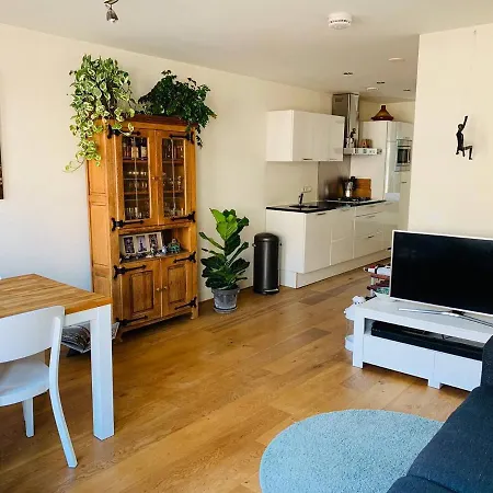 Bright And Cozy Apatment In Amsterdam 公寓