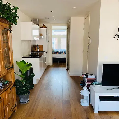 公寓 Bright And Cozy Apatment In Amsterdam 阿姆斯特丹